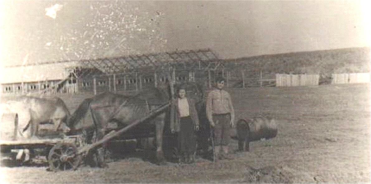 Водовозы на конной тяге