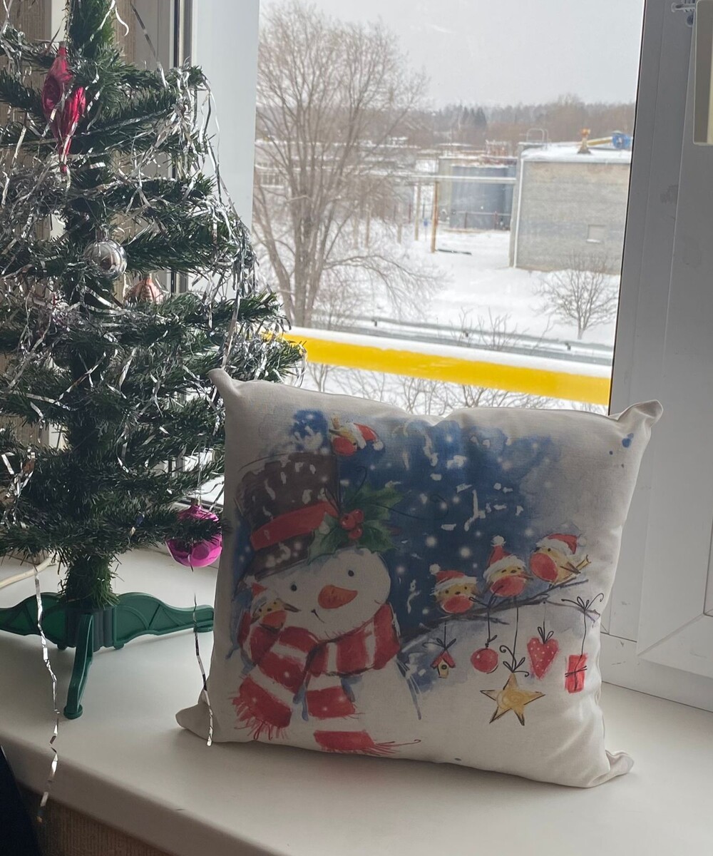 Новогодняя подушка