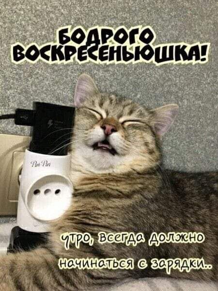 Фото из сети Интернет