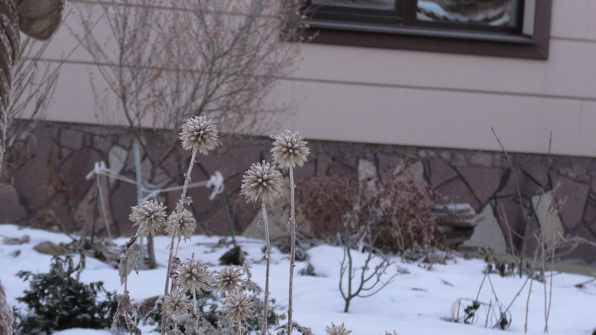 Фото из личного архива автора канала "Дом с кипарисами"