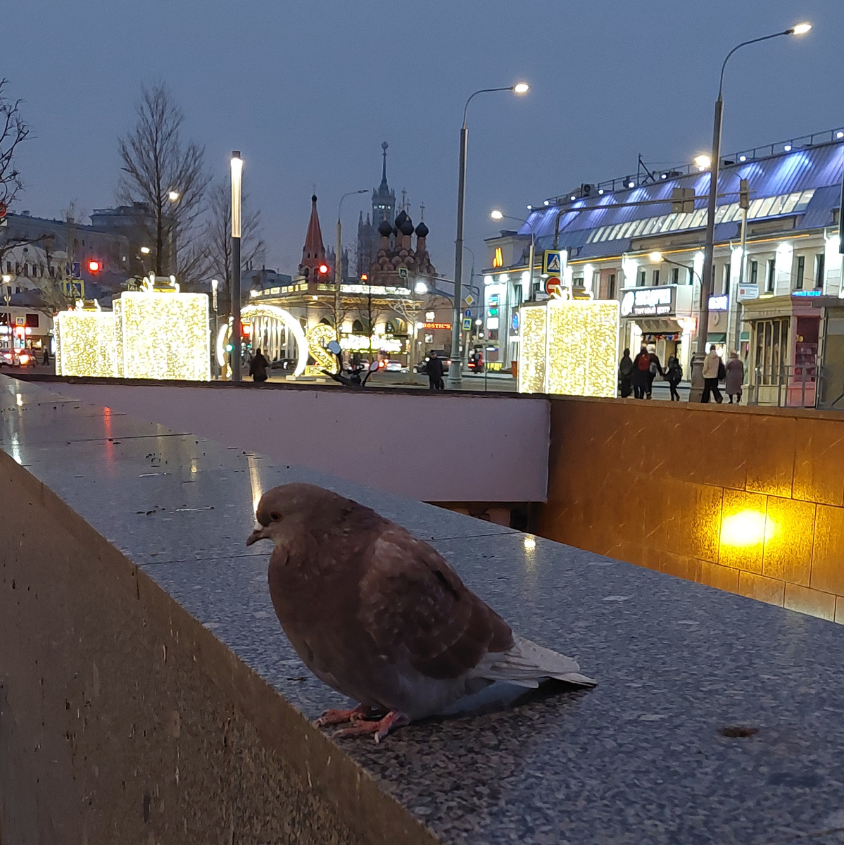 фото из личного архива