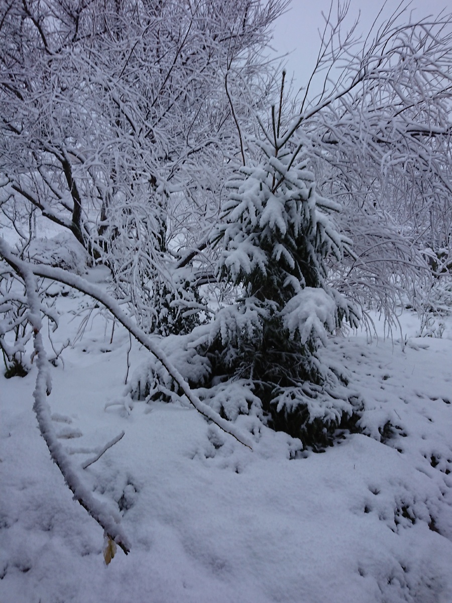 Так в Анапе тоже бывает, хотя редко. Фото автора