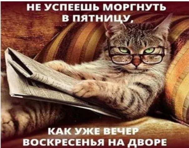 картинка из свободного доступа