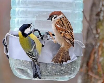 Фото из доступных интернет-источников.