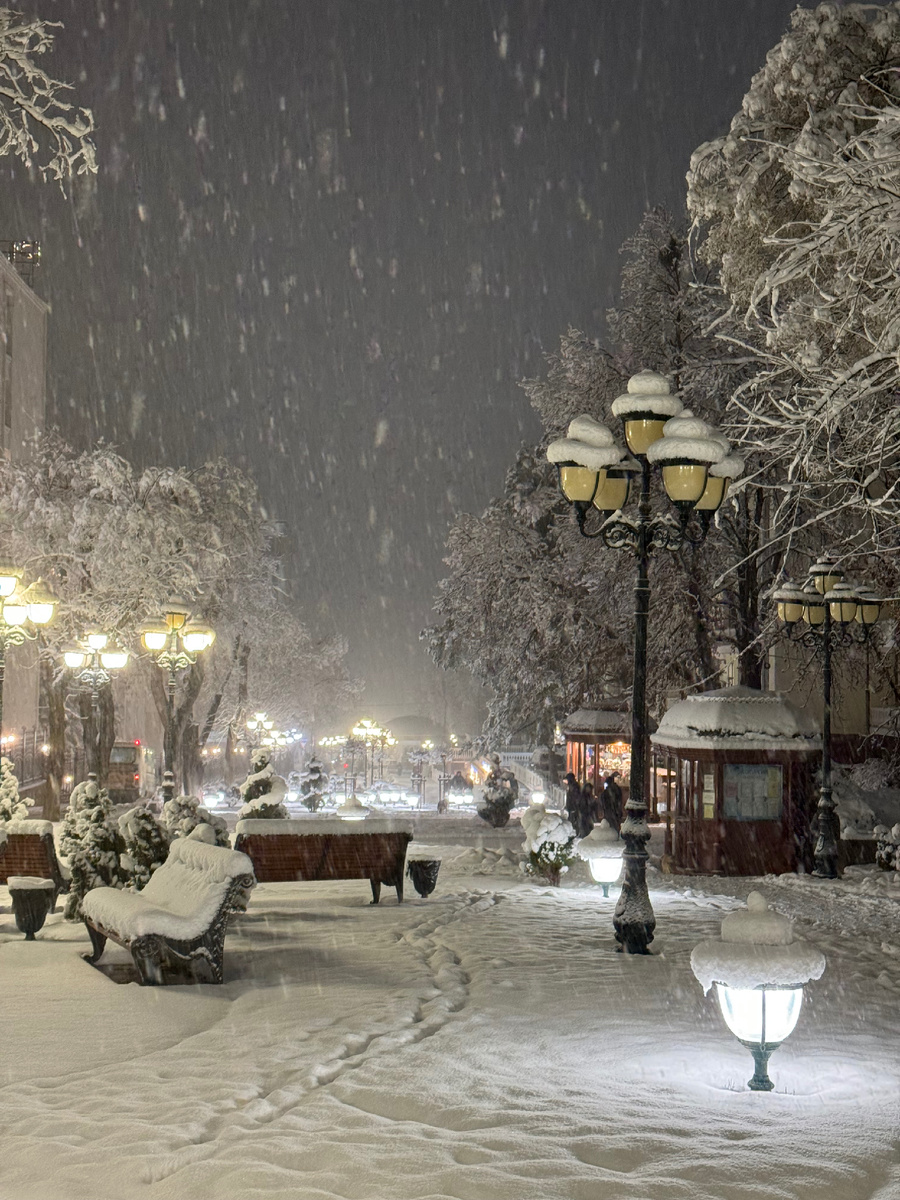 фото Сад в стиле Paradise ®