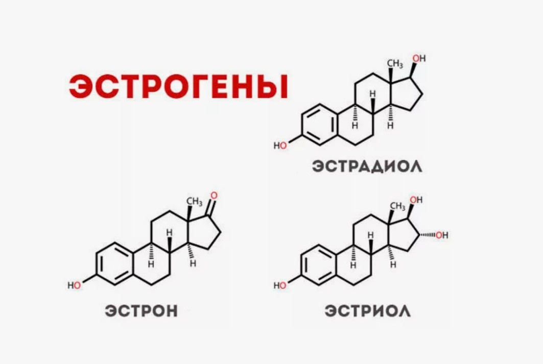 Эстрогены молекулы строение