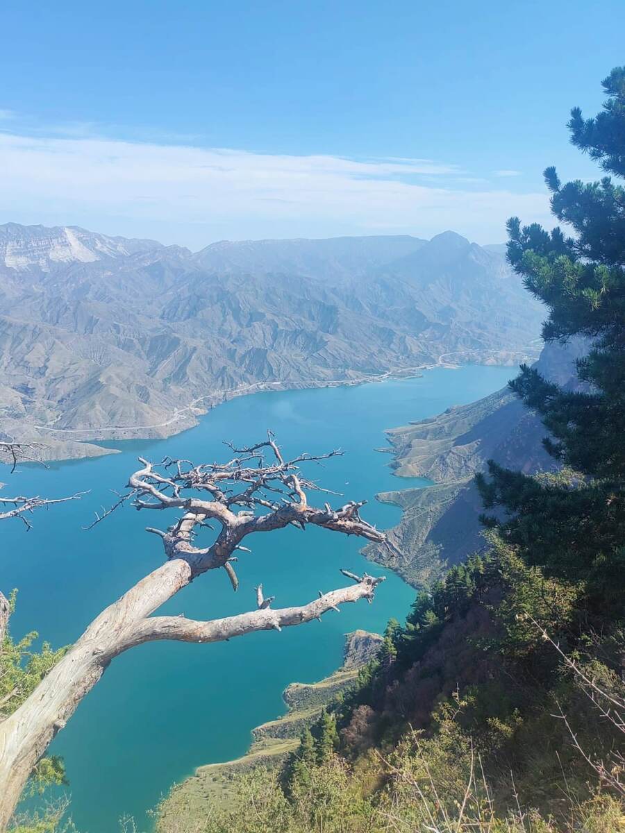 Таро-разбор Сна про Баркас в средневековом городе