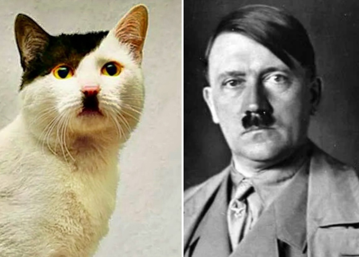 Гитлер капут! Шнеля, шнеля ->->->