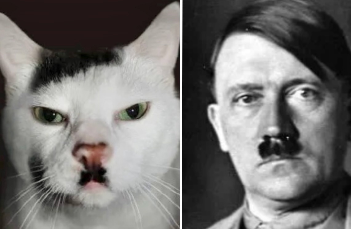 Я, я зер гуд, я, я натюрлих!