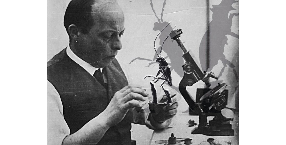 Владислав Старевич за работой