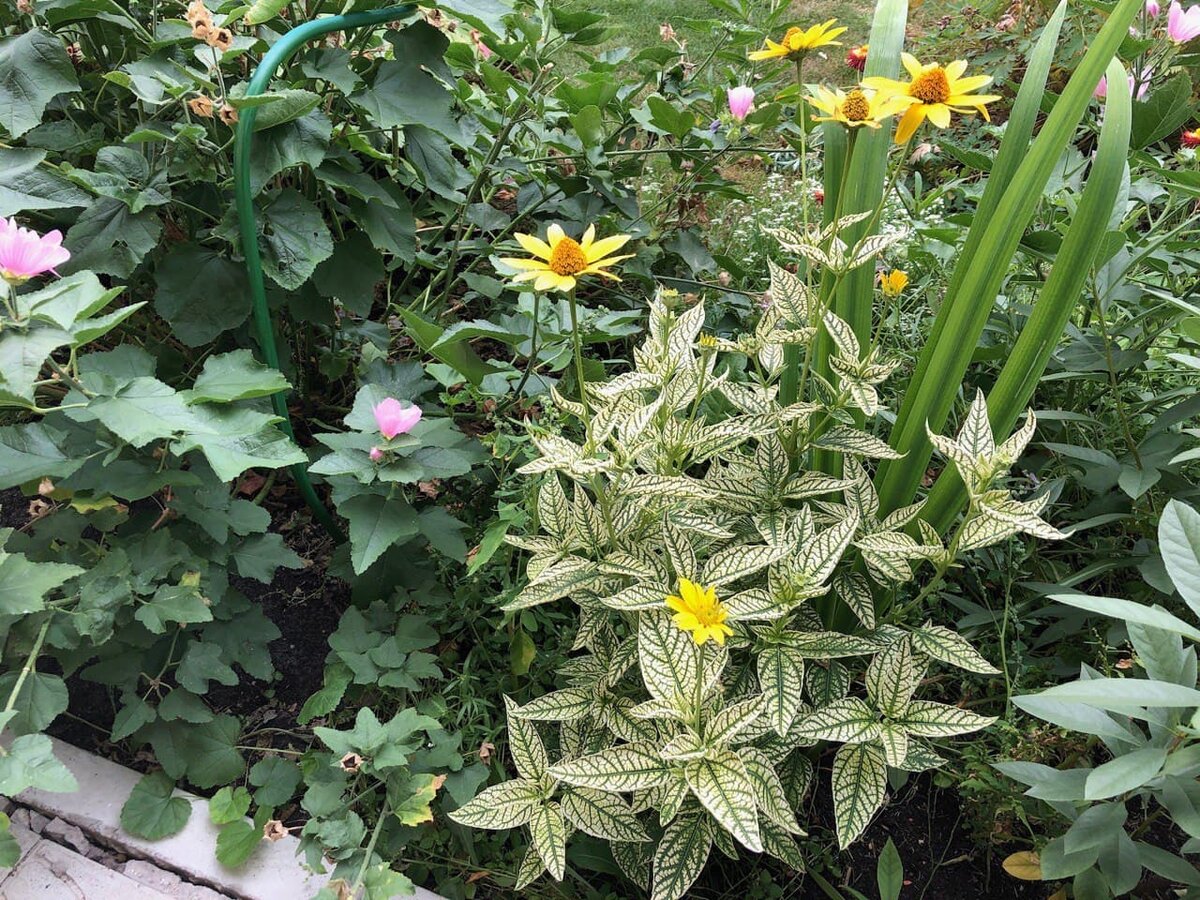 Фото из личного архива