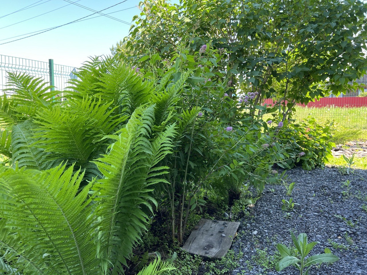 Фото из личного архива