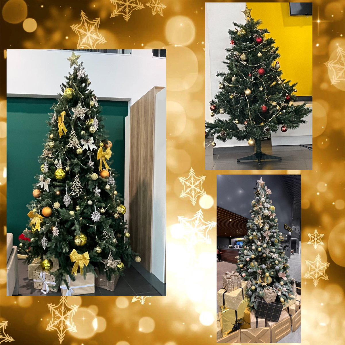 Фото автора. Ёлочки в ДЦ