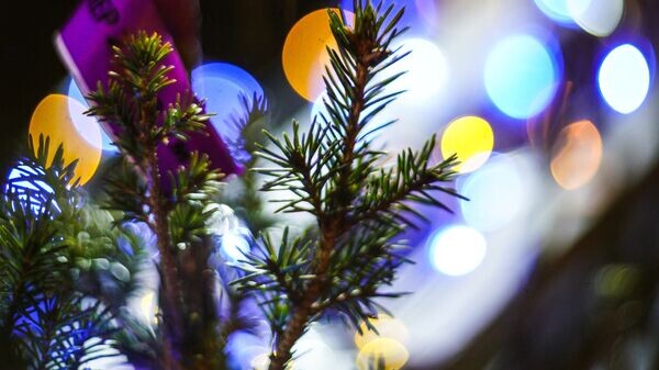    © Sputnik / Владимир Астапкович