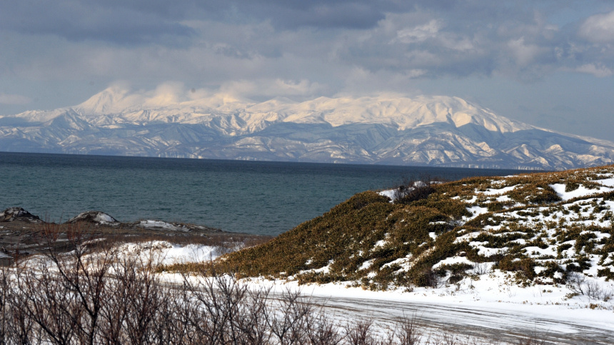    Фото: © РИА Новости/Стрингер