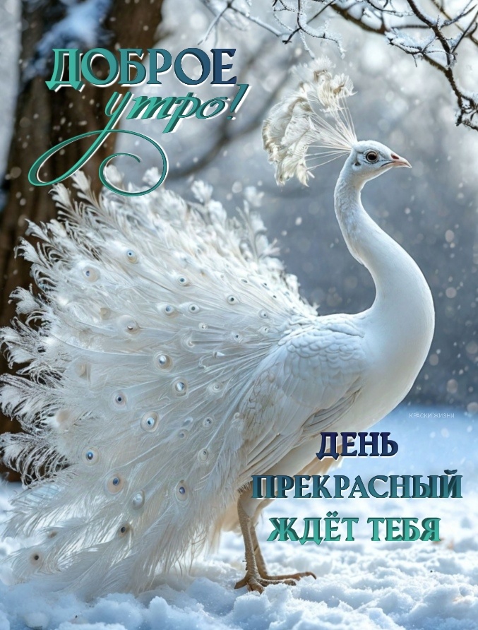 Доброе утро! День прекрасный ждёт тебя.