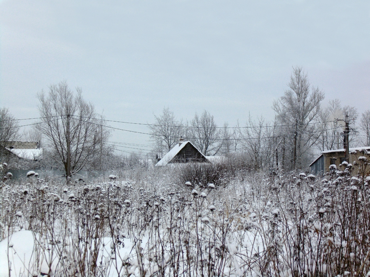 Красное Село. Фото автора