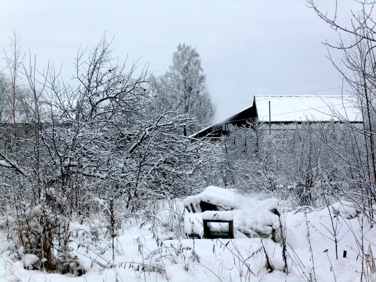 Красное Село. Фото автора