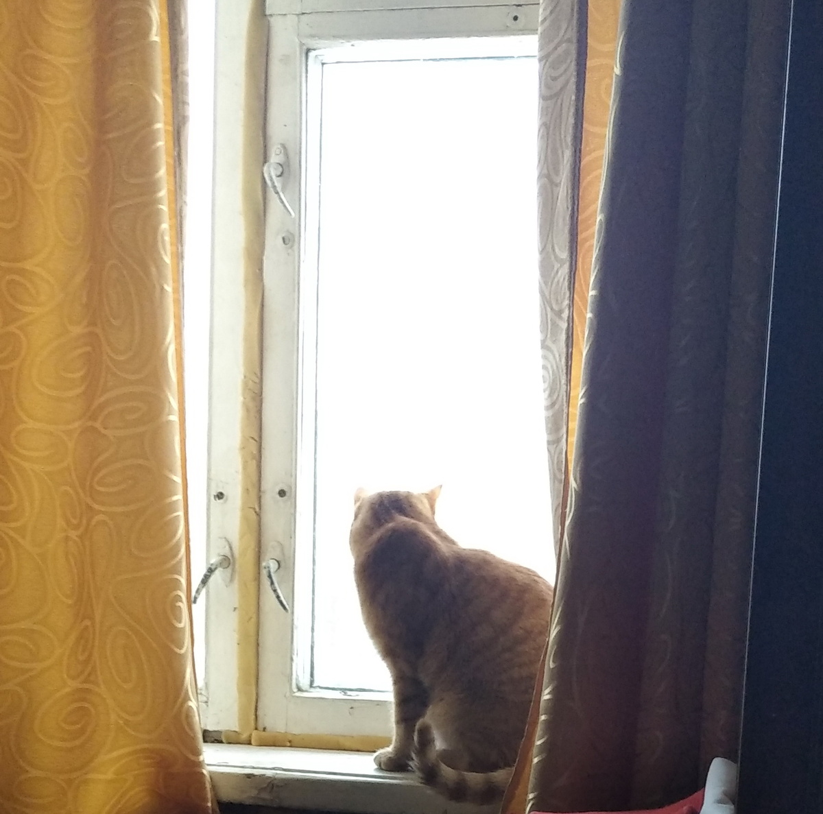 Личное  фото