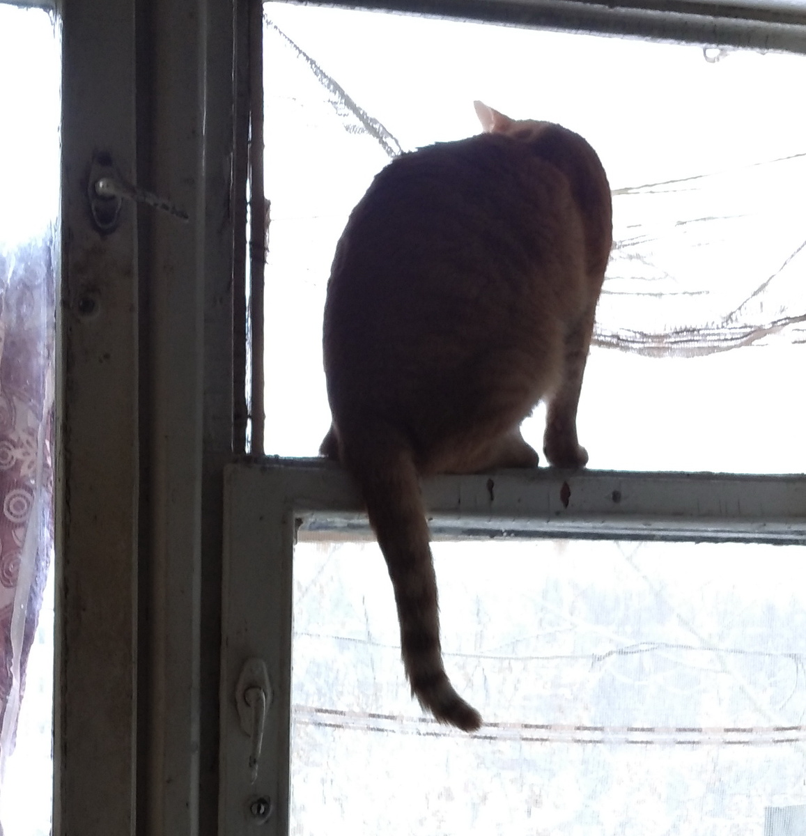 Личное  фото