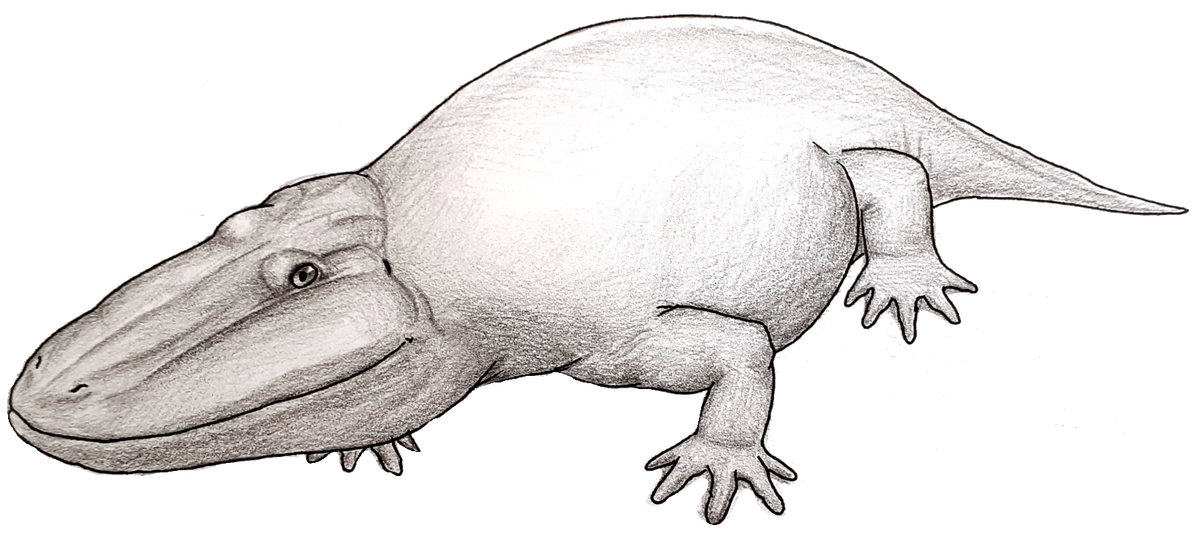 Эриопс, кривое пнг.