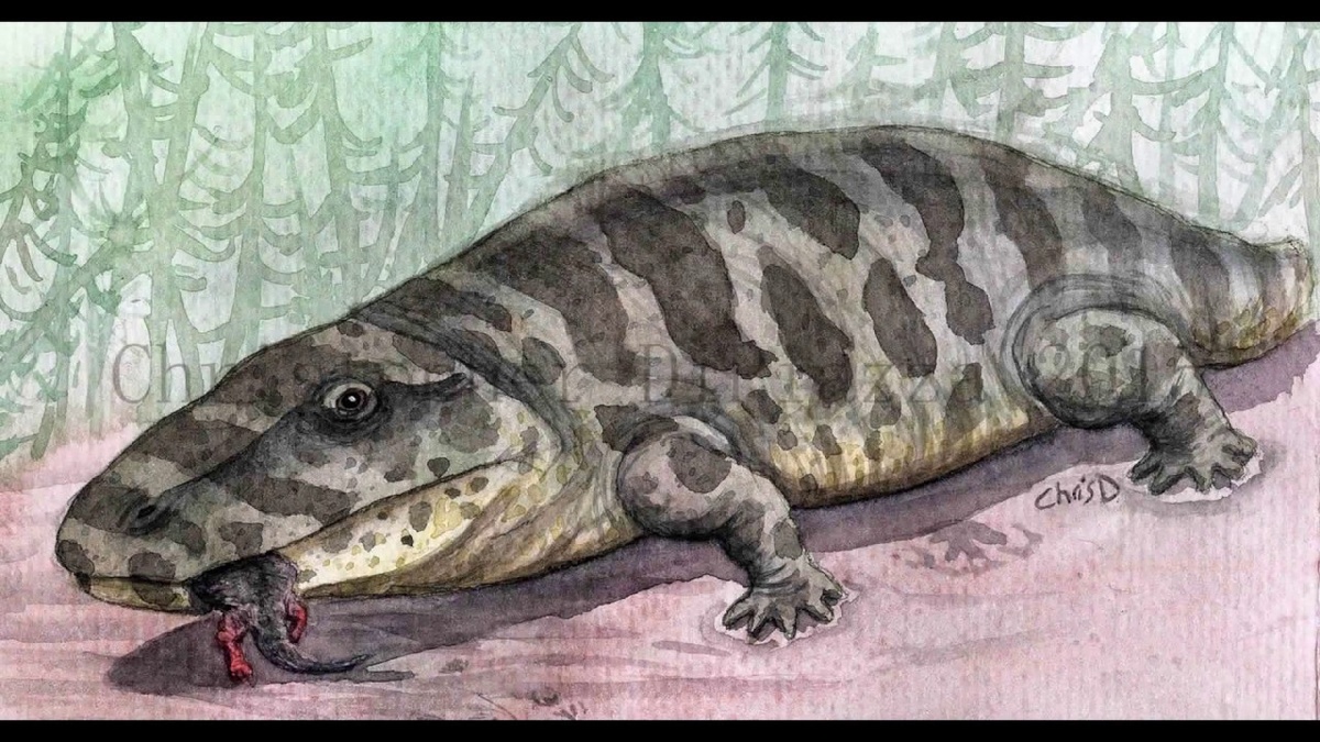 Эриопс закусил каким то тетраподом.