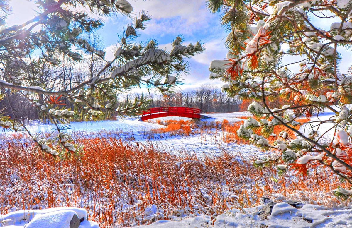 Фото взято из интернета.