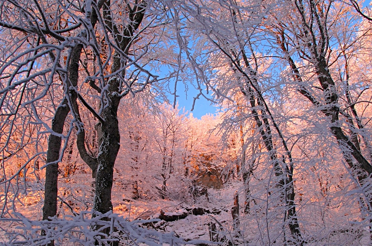 Фото взято из интернета.
