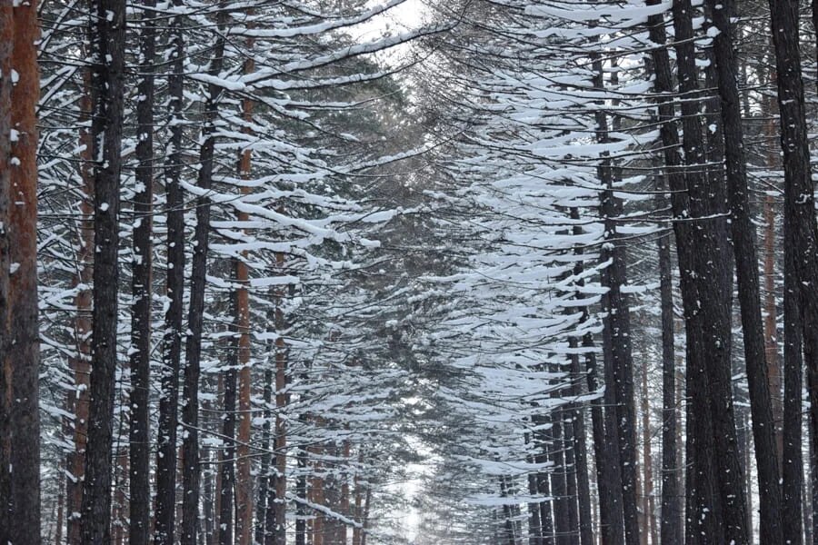 Фото: UfacityNews.ru