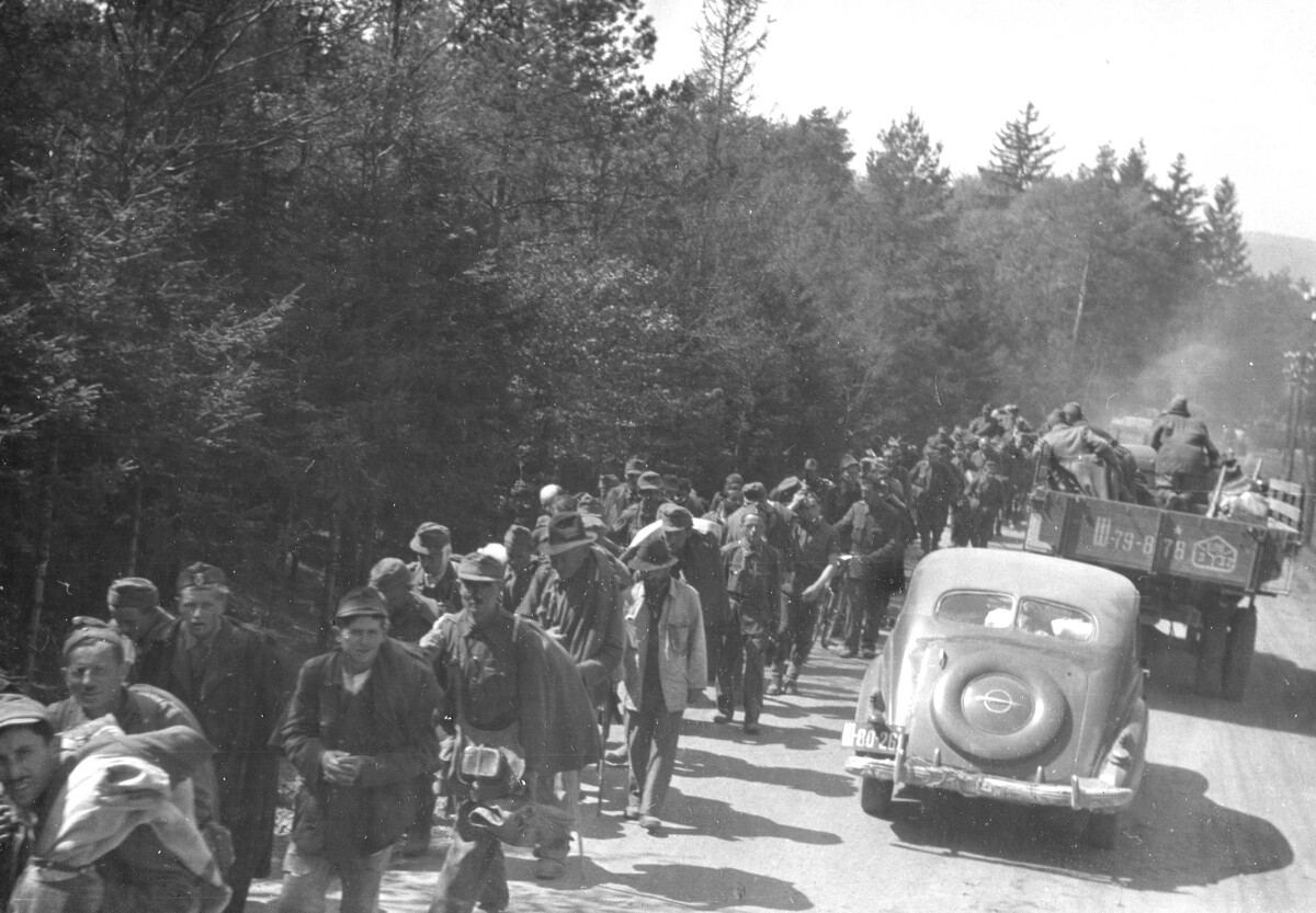 Фото: Юрий Губанов