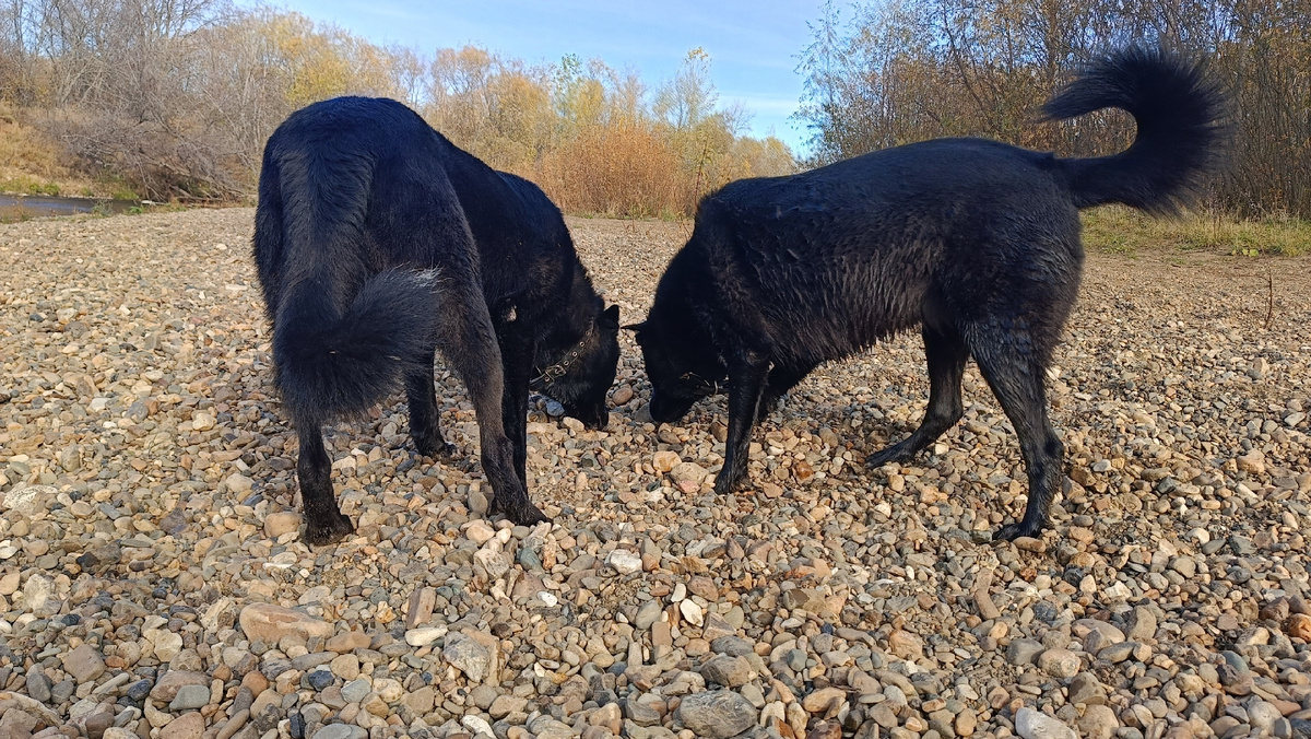 Мира и Сахара