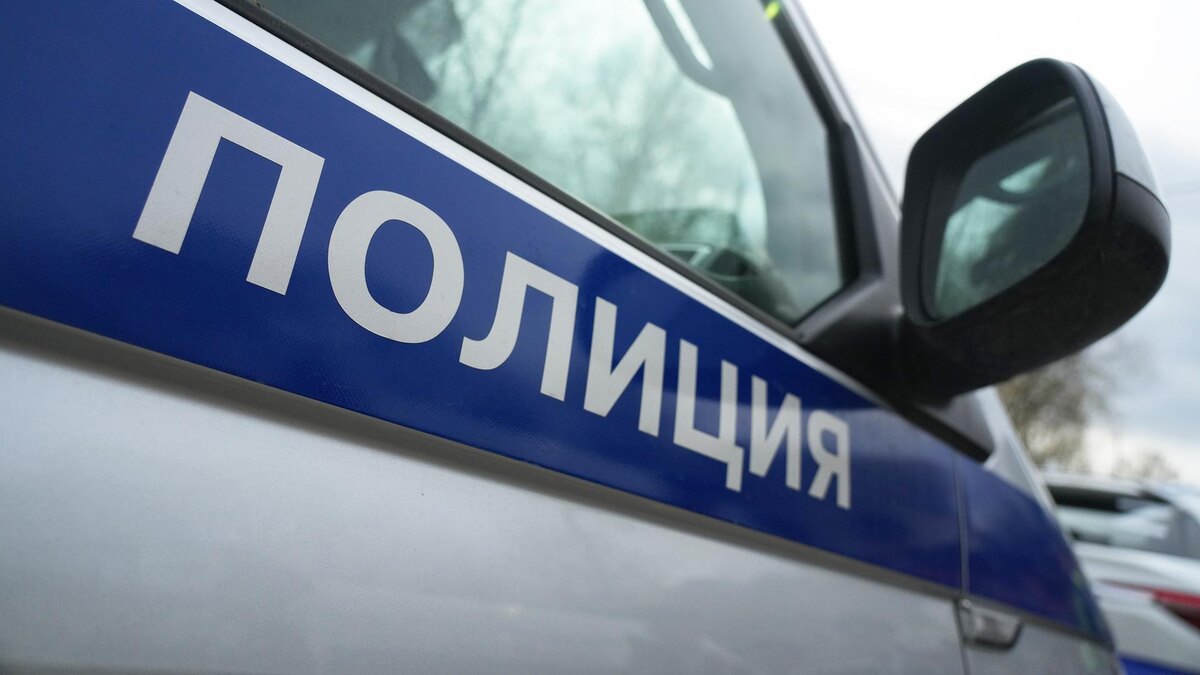    Фото: ИЗВЕСТИЯ/Дмитрий Коротаев