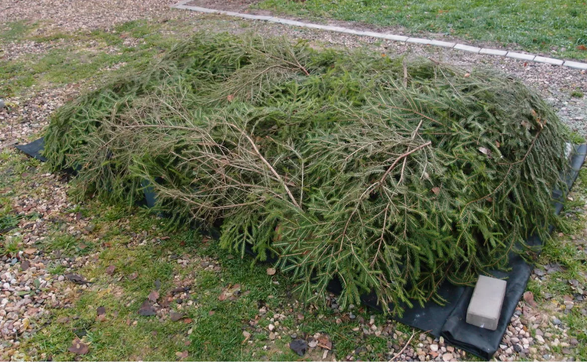 Источник фото: artminsk.ru