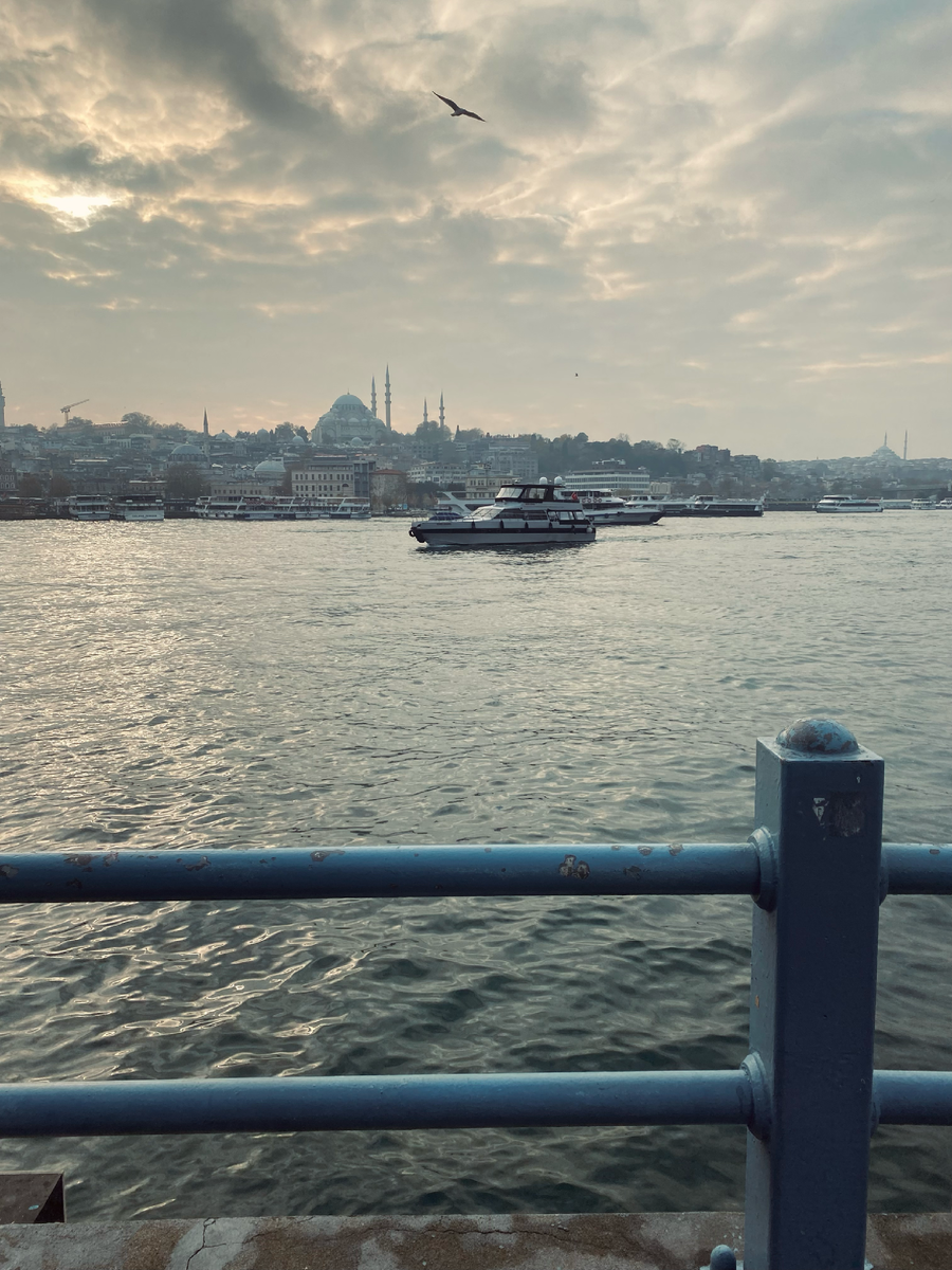 Вид на Босфор с Галатского моста. 