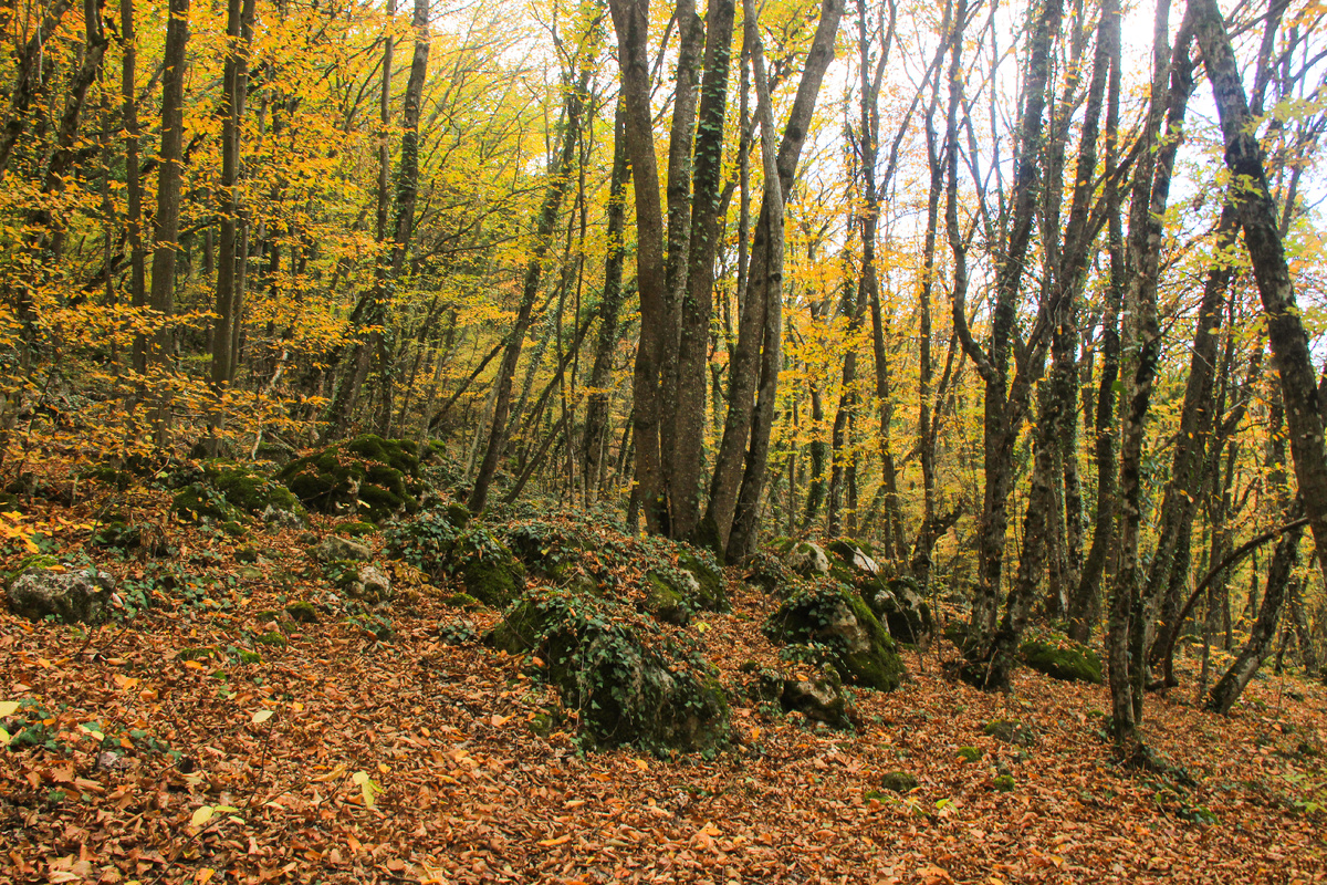 Сказочная дорога к пещерному городу