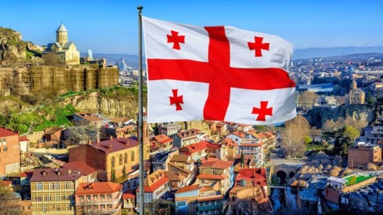    Грузинские оппозиционеры "украсили" новогоднюю елку в Тбилиси своими лозунгами Егор Гордеев