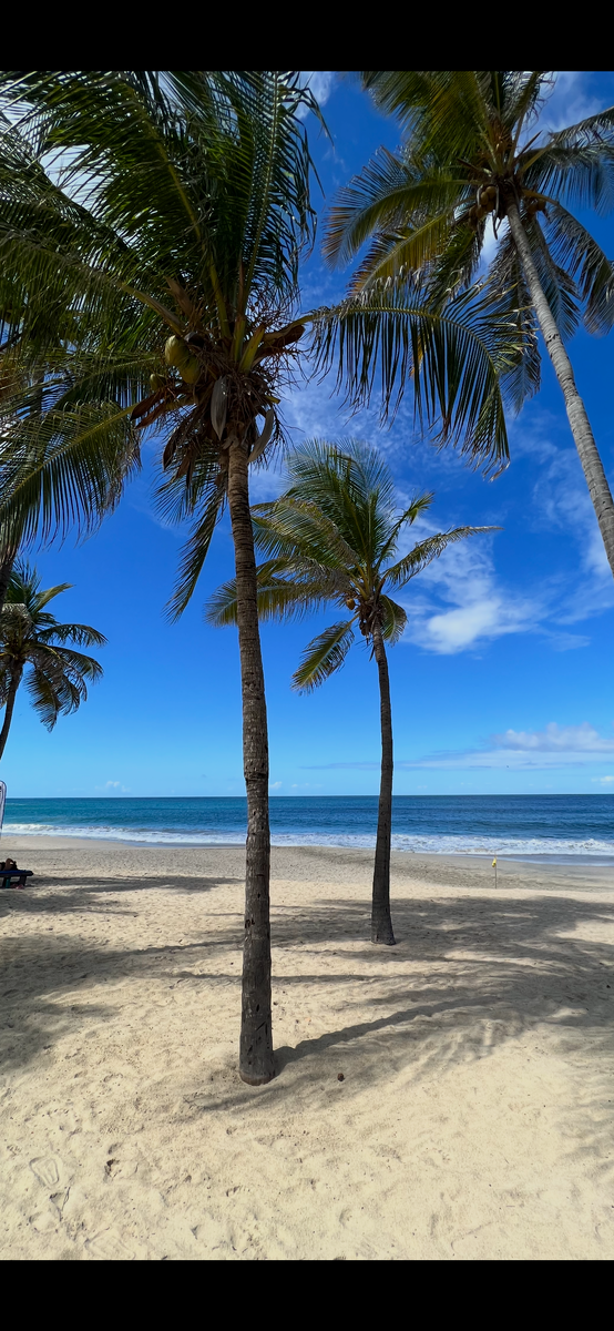 Будто картинка из интернета с рекламы Баунти. Но там действительно вот так.