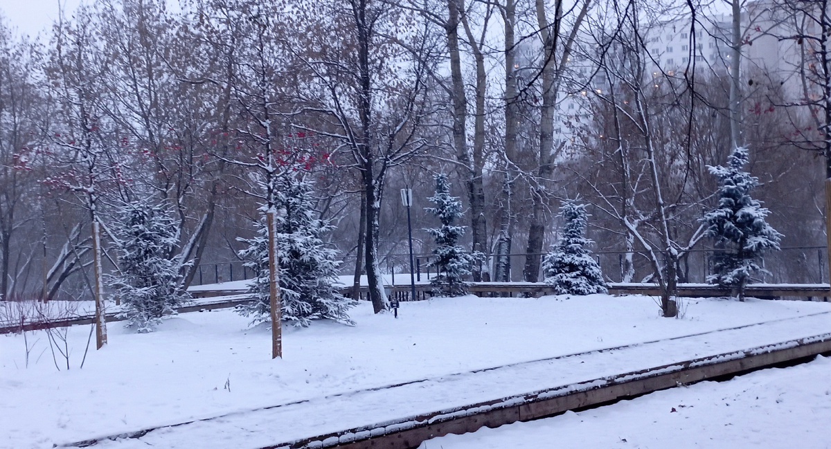 Парк на Чермянке. 07.12.2024 г, суббота. ЗДЕСЬ и далее фото автора и(или) из личного архива автора, если не указано иначе.