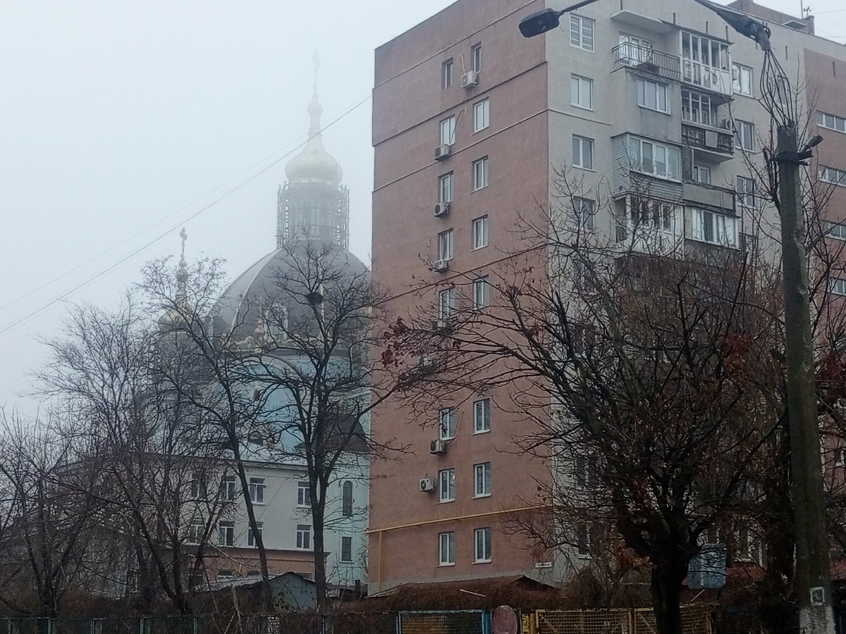 Вид на Покровский собор. 2024 г. 