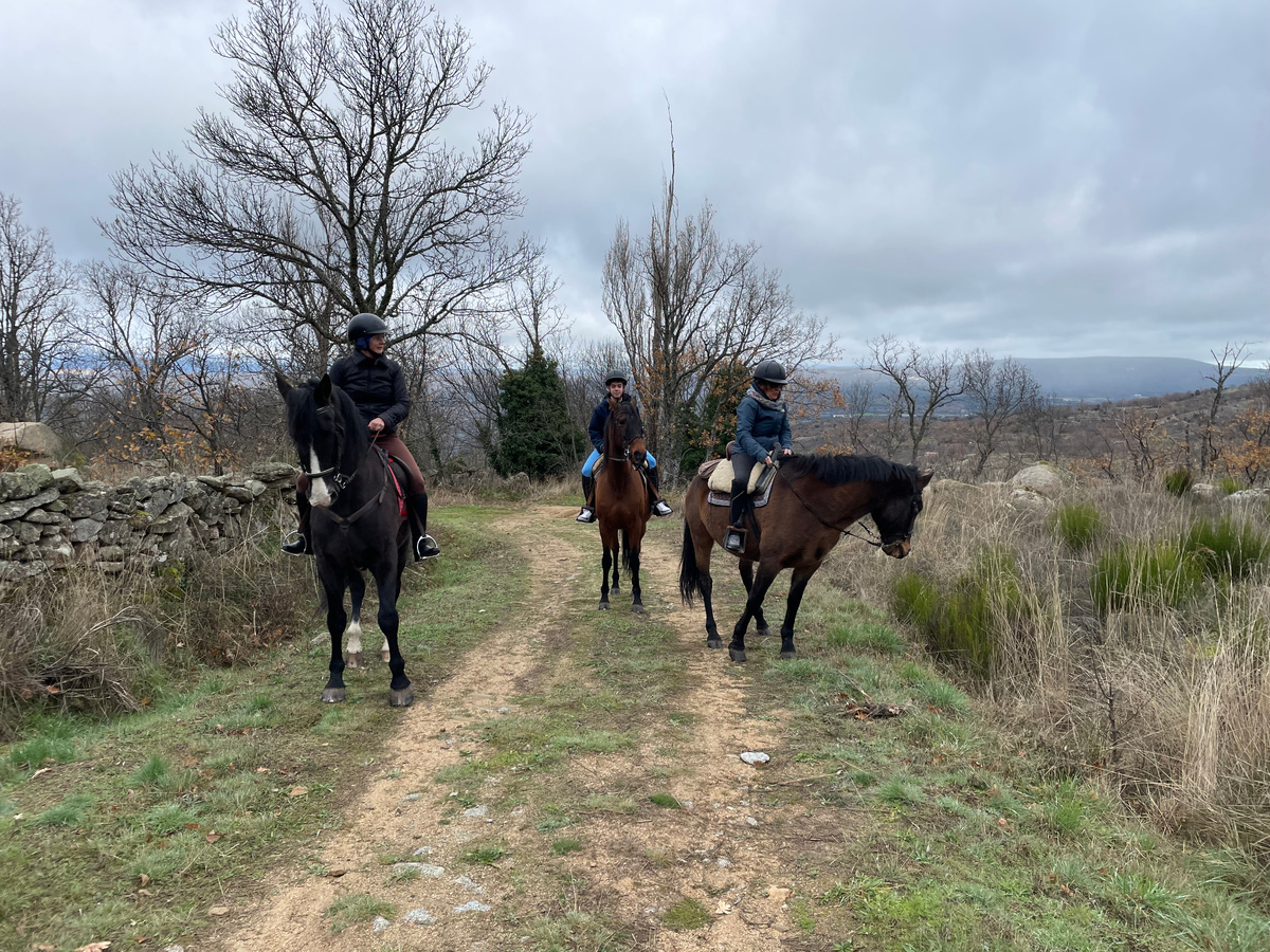 Хордан не горел желанием идти на прогулку