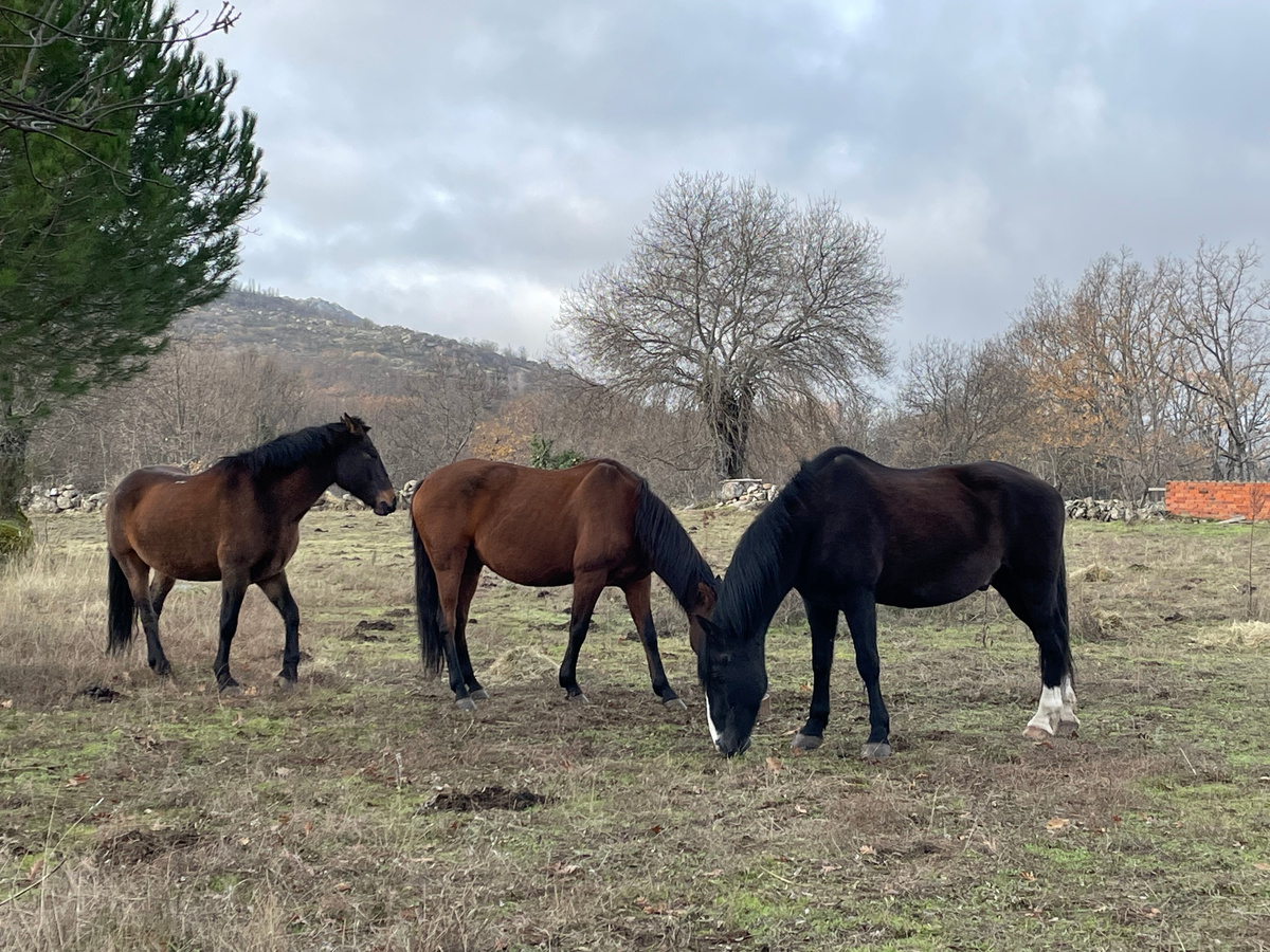 Ребята, вам придется еще день подождать