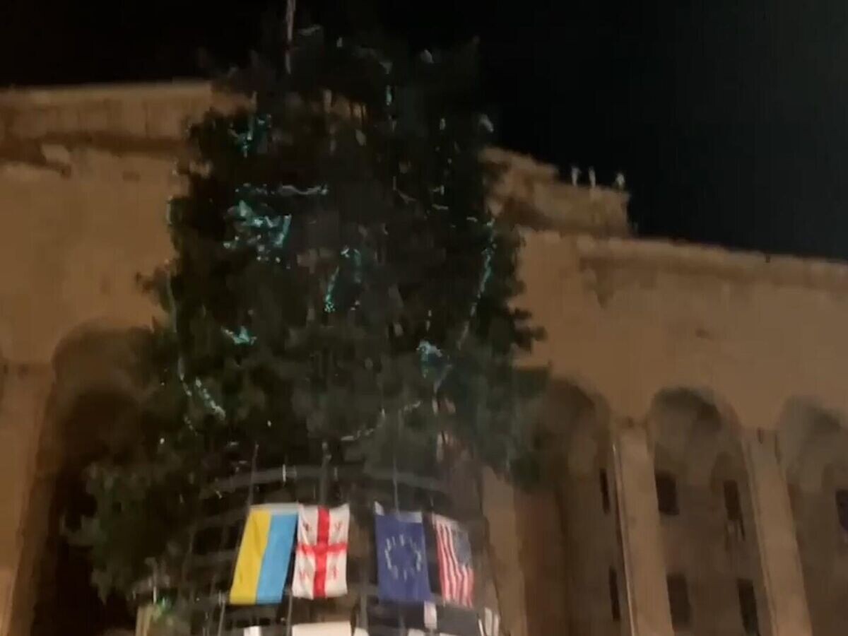    Елка у парламента Грузии с лозунгами и флагами Украины и США© РИА Новости
