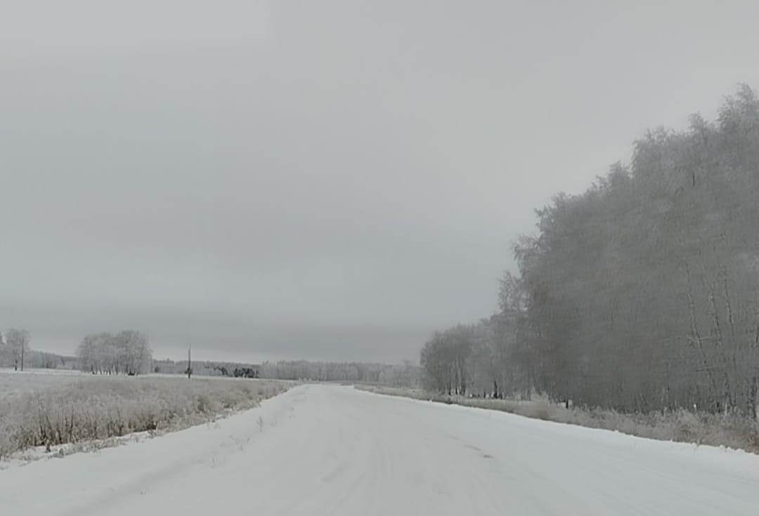 Всем хорошей погоды