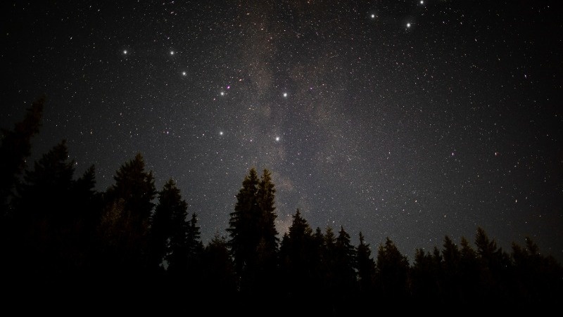 Фото: @freepik / freepik.com