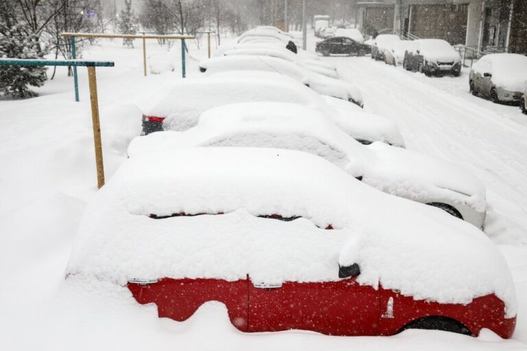    Фото: Агентство «Москва» Екатерина Шахнина