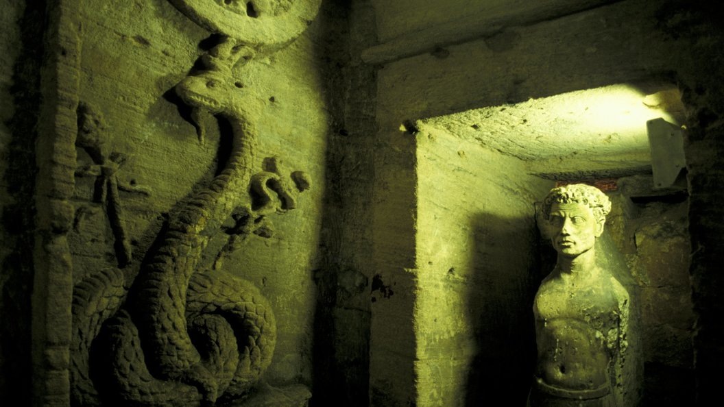    Фото: Nik Wheeler/Danita Delimont/Globallookpress