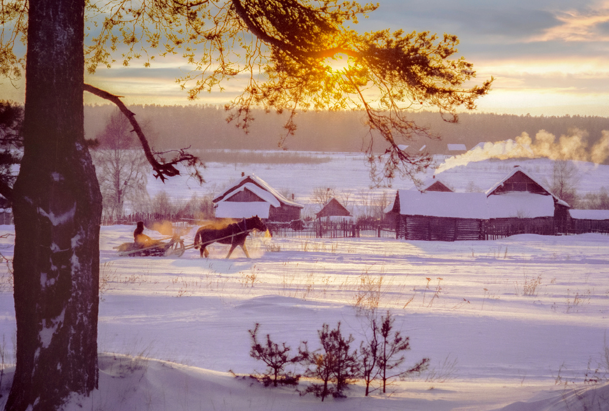 Sergey Metelitsa/Global Look Press