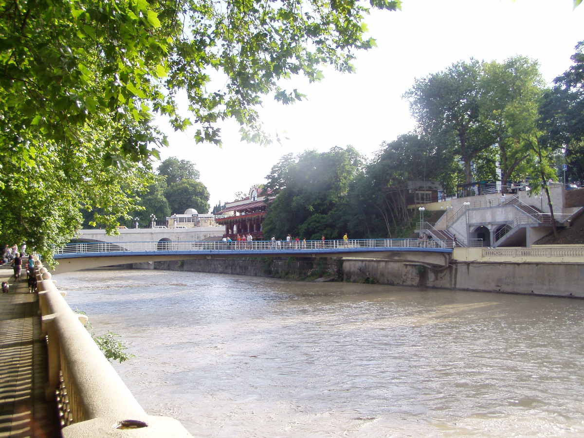 Малый Ривьерский мост. Фото с сайта https://ru.wikipedia.org/wiki/%D0%A4%D0%B0%D0%B9%D0%BB:Sochi_Maly_Riviersky_bridge.JPG. Взято с Яндекс.Картинки