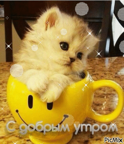 С добрым утром открытка с пожеланием доброго утра