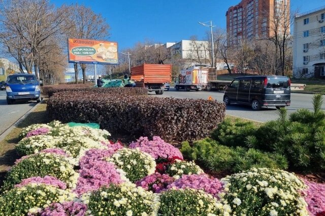    Фото: пресс-служба администрации Владивостока